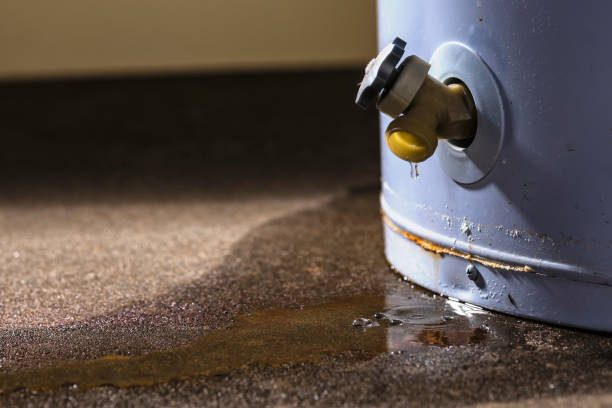 Best Water damage restoration specialists  in Coalinga, CA