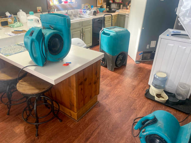 Best Sewage cleanup and water damage restoration  in Coalinga, CA