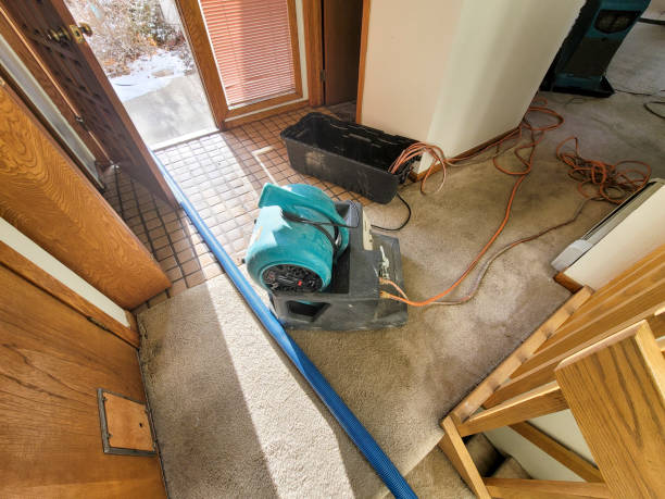 Best Residential water damage restoration  in Coalinga, CA