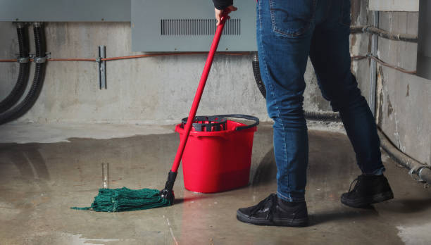 Best 24-hour water damage restoration  in Coalinga, CA
