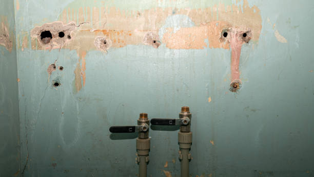 Best Water damage contractors near me  in Coalinga, CA