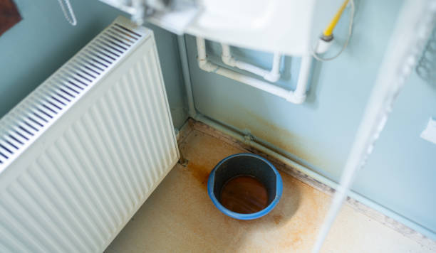 Best Water damage cleanup near me  in Coalinga, CA