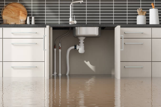 Best 24/7 water damage repair  in Coalinga, CA