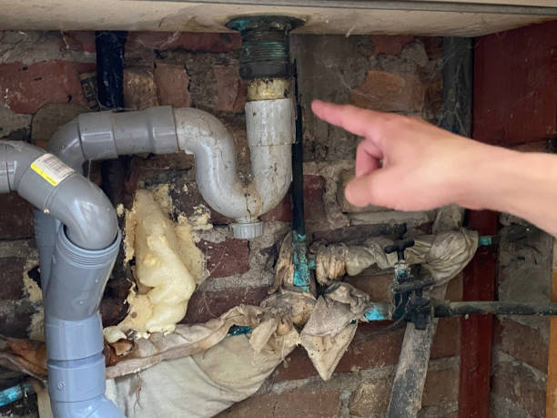 Best Water damage restoration cost  in Coalinga, CA