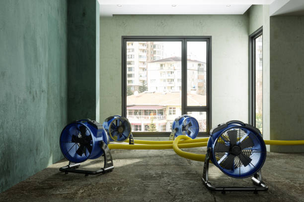 Best Flood damage cleanup  in Coalinga, CA